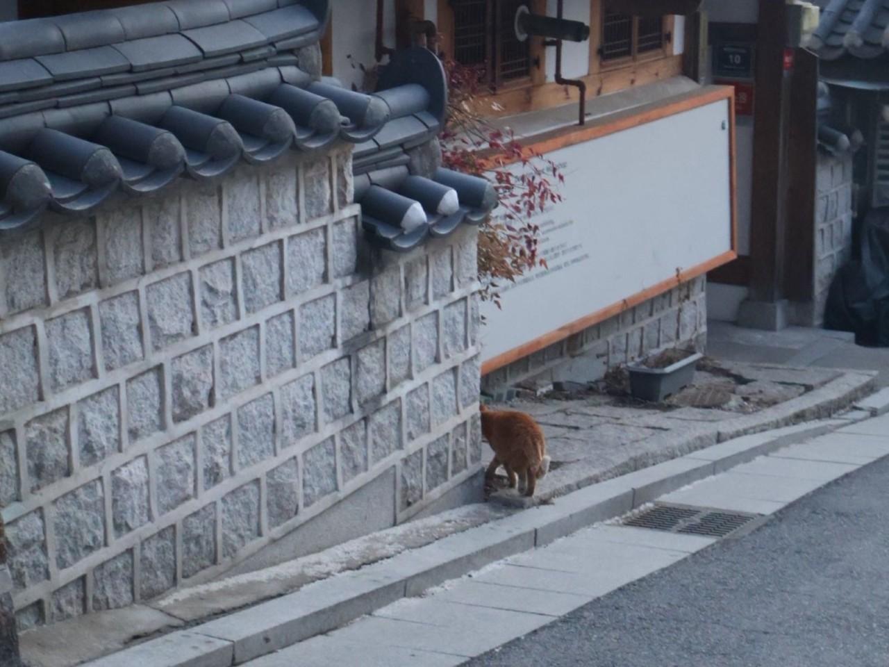 画像14: 2泊3日のソウルモデルコース!初めてのソウル旅行におすすめの王道&最新を巡るプラン