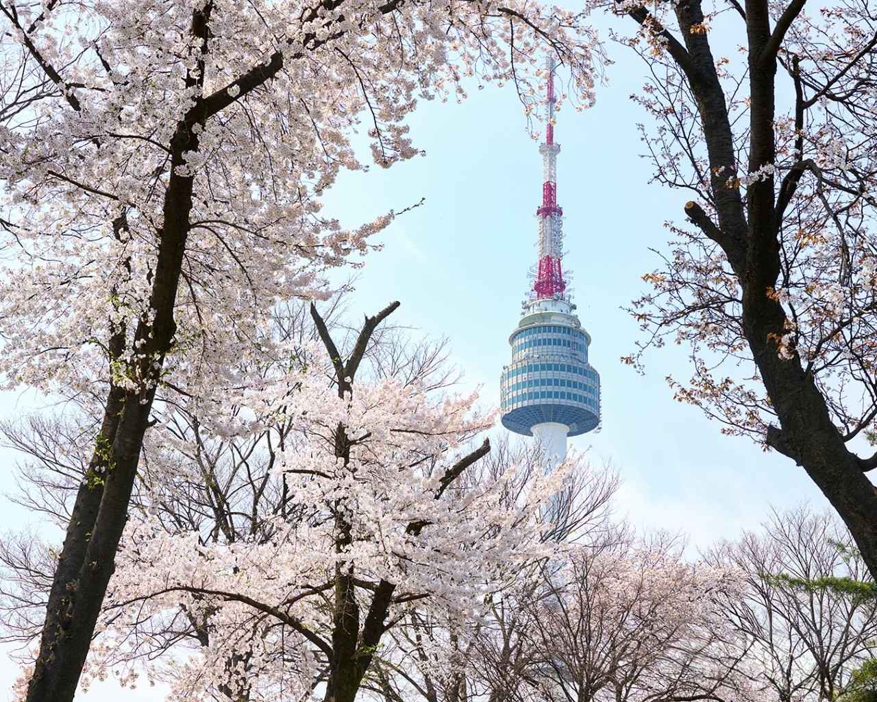 画像1: 【南山】「ソウルタワー」で絶景を望む