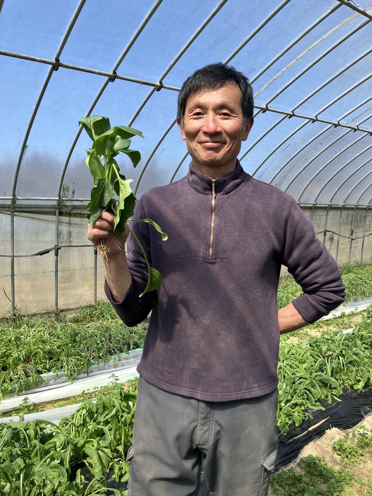 画像: ビオ・ラビッツ株式会社「てんとうむしばたけ」代表取締役 梅本 修さん