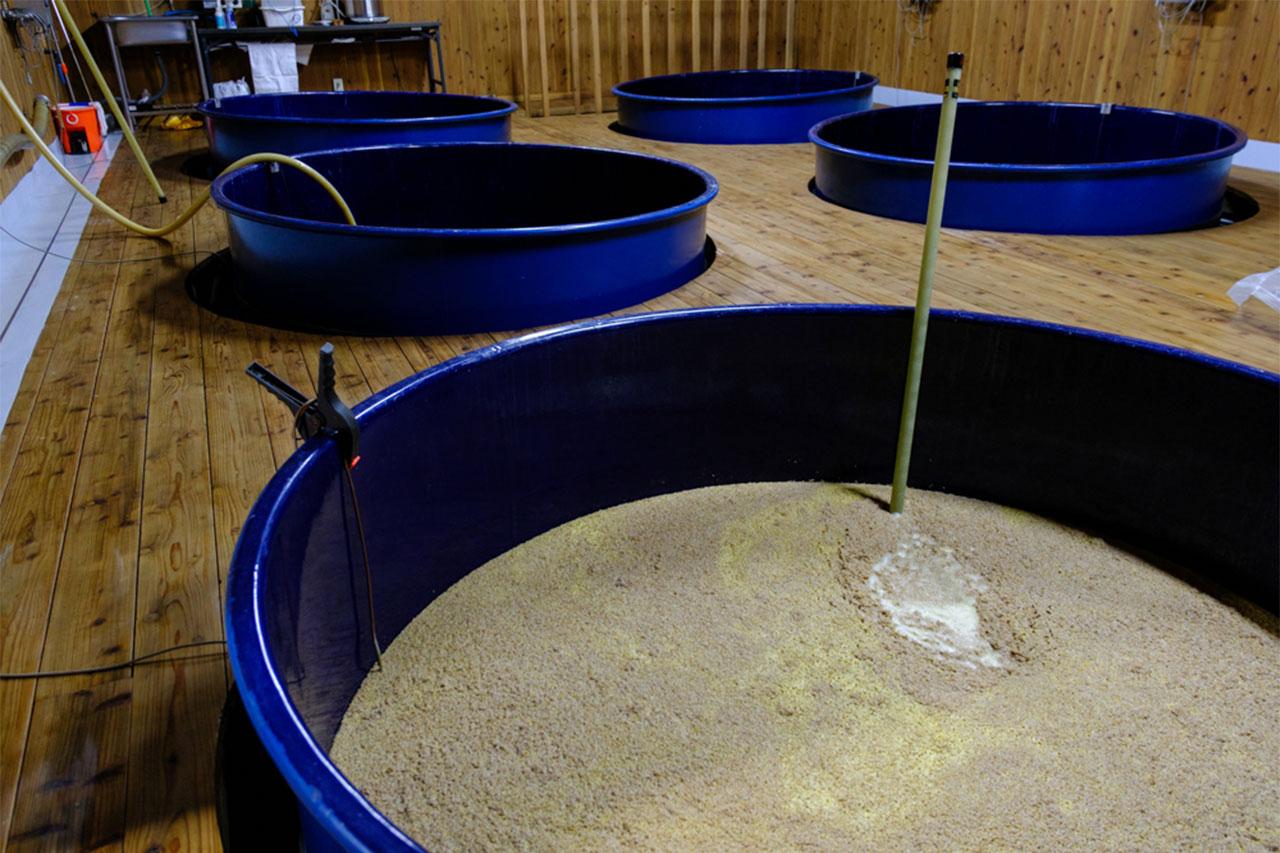 画像: もろみ造りにより、アルコールを生み出す