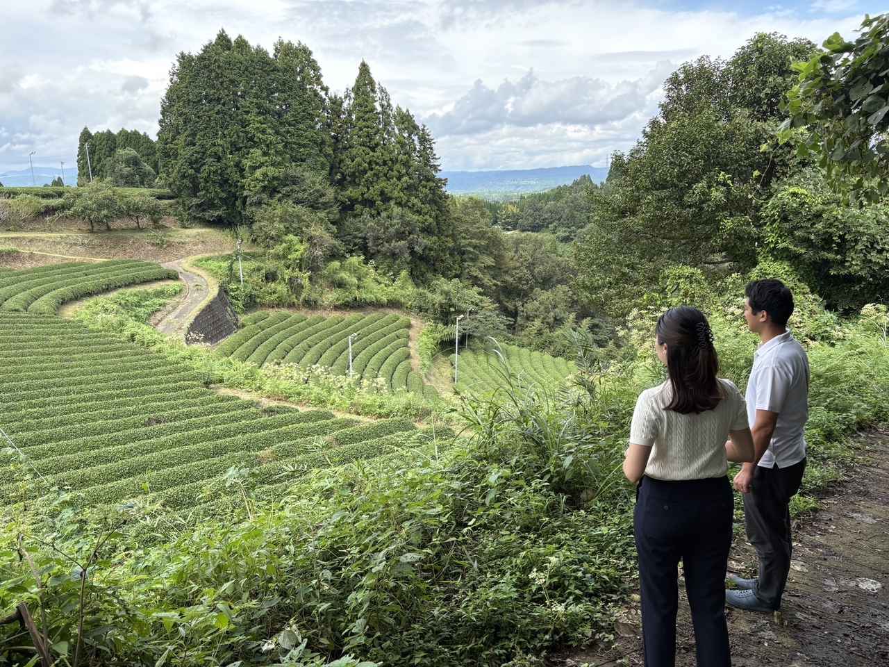画像: 3. 40年前から無農薬を貫く「宮﨑茶房」を訪ねて