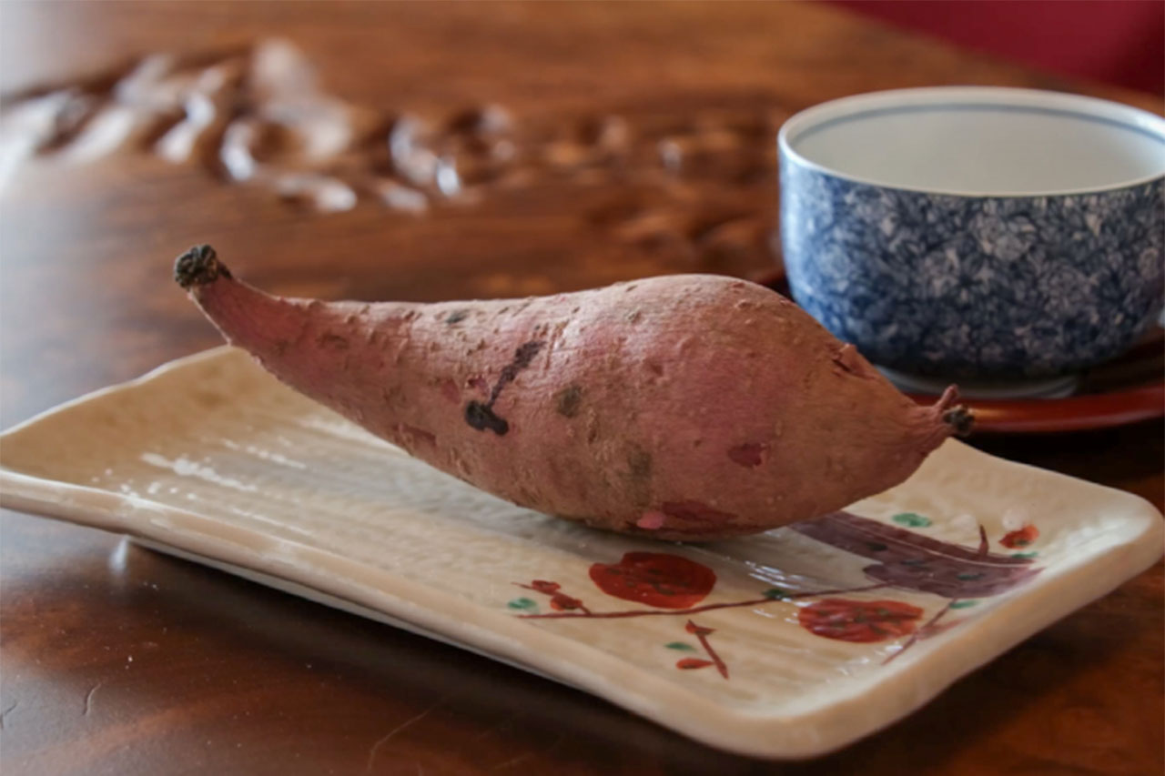 画像: 都城は芋の品種改良が盛んでもある。それが焼酎造りの礎となっている