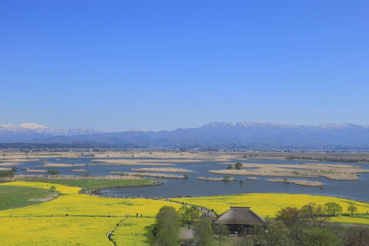 画像1: 湖畔に広がる春の原風景