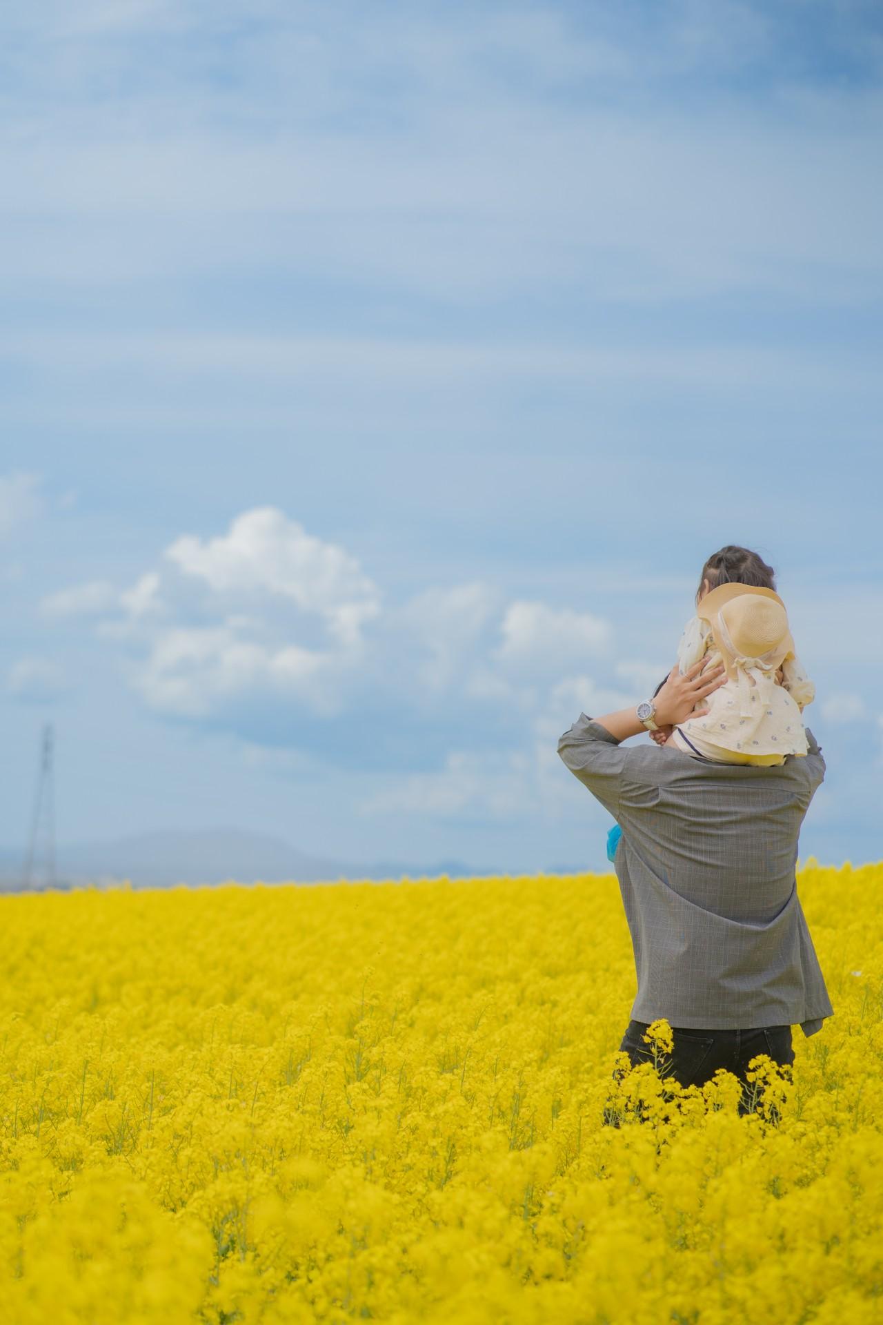 画像: 【全国】菜の花畑・名所の絶景スポット12選｜見頃やイベントまでご紹介