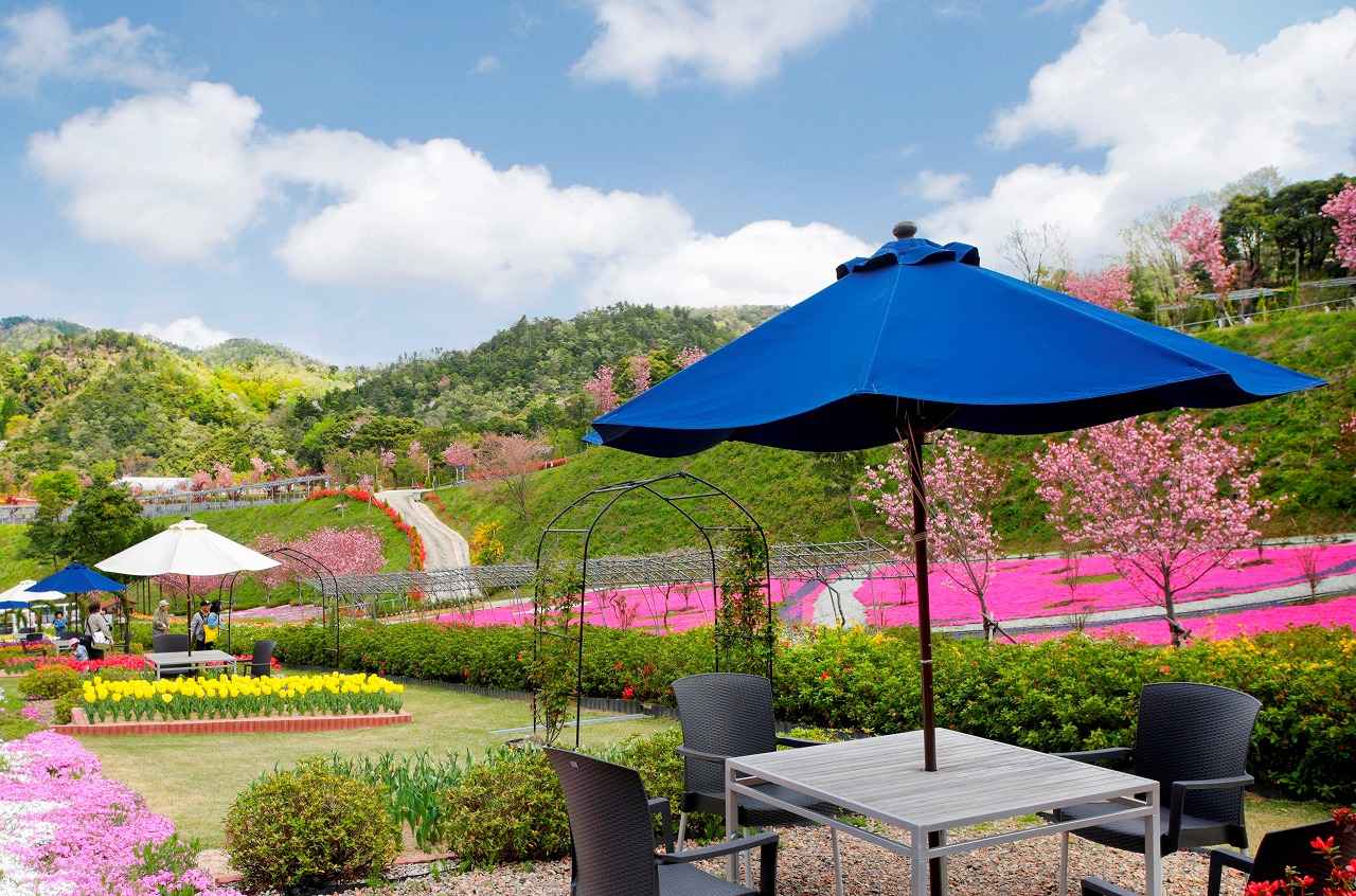 画像: 「京丹後ナビ」京丹後市観光公社　公式サイト