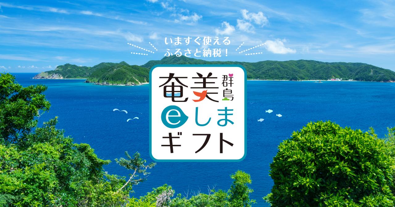 画像: 旅先納税 奄美群島eしまギフト