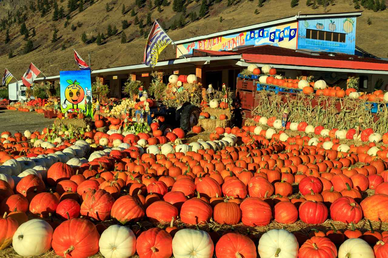 画像: iStock/Nalidsa Sukprasert