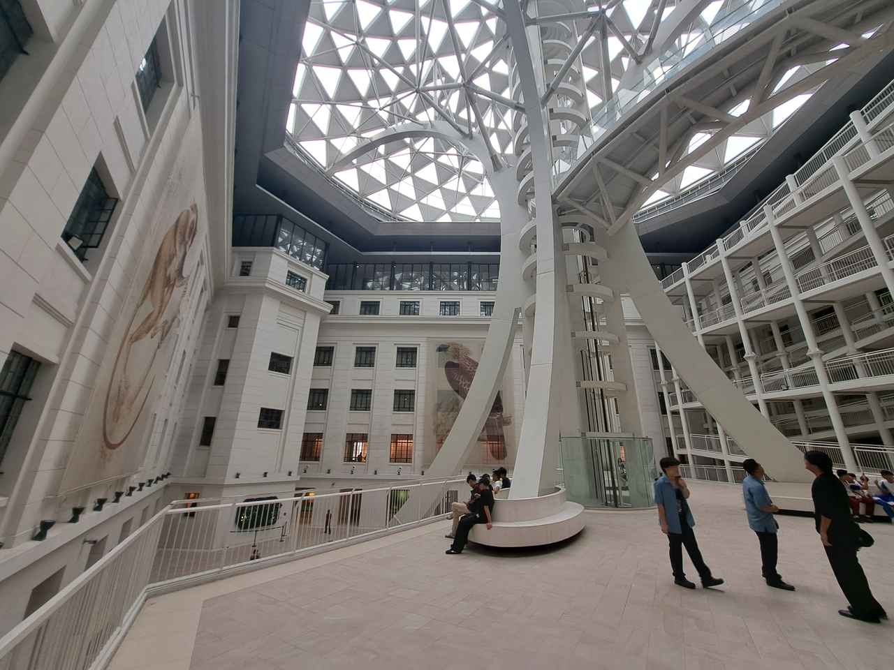 画像: 自然史博物館の中に入ると、天井まで吹き抜けとなった巨大な白いシルエットのデザインが印象的。