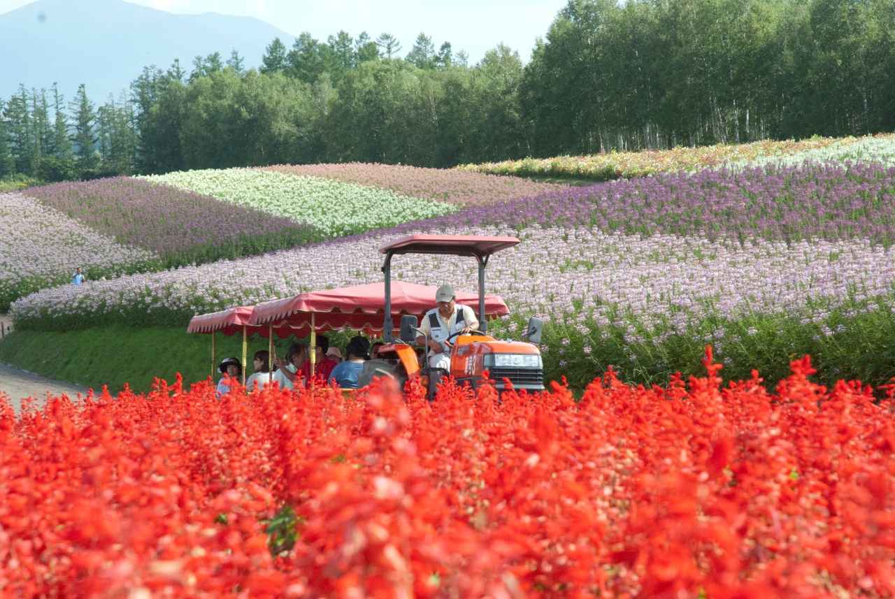 画像1: トラクターバス