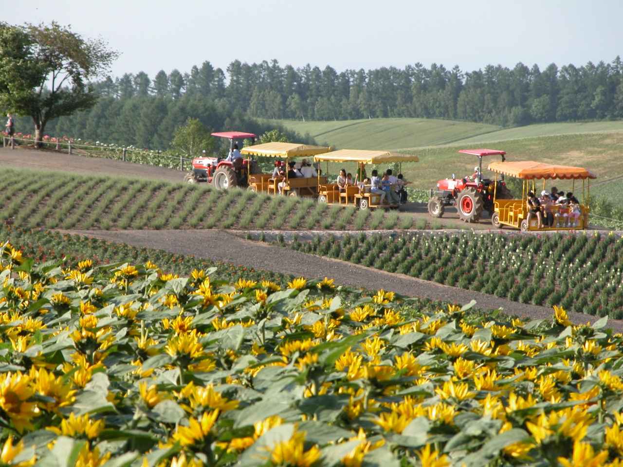 画像2: トラクターバス