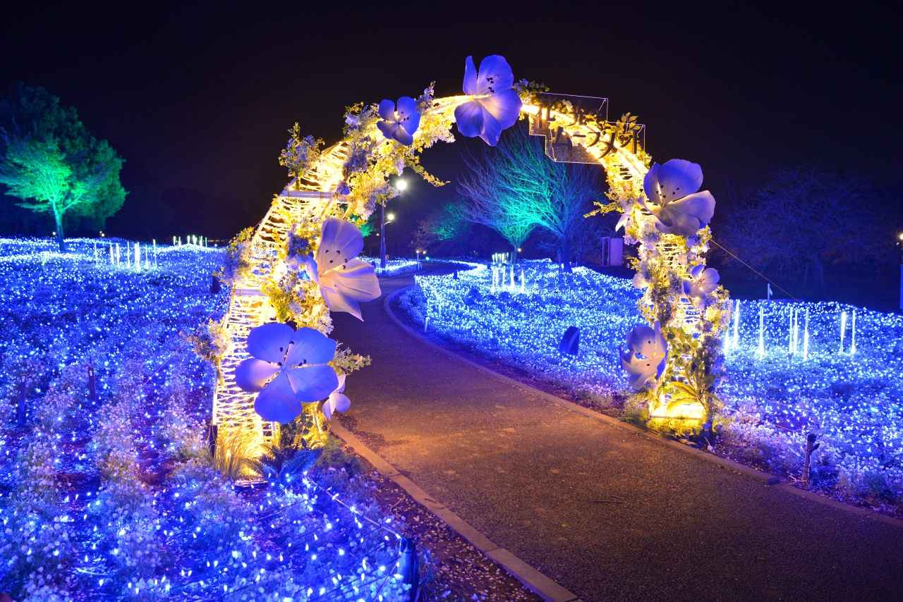 画像1: 2025年の様子