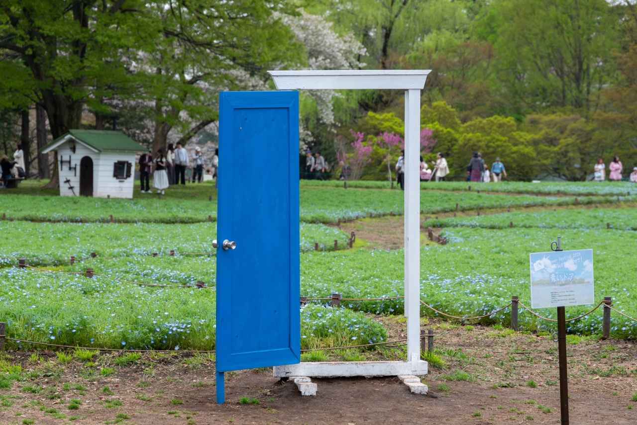 画像2: フォトジェニックな「青いドア」が映える都心のオアシス