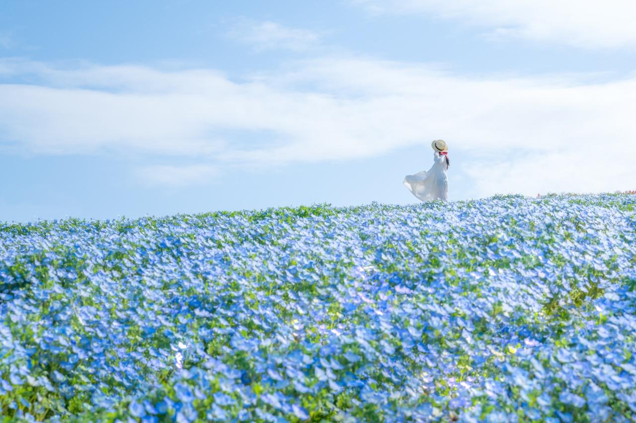 画像1: 湖畔に広がる青のウェーブ