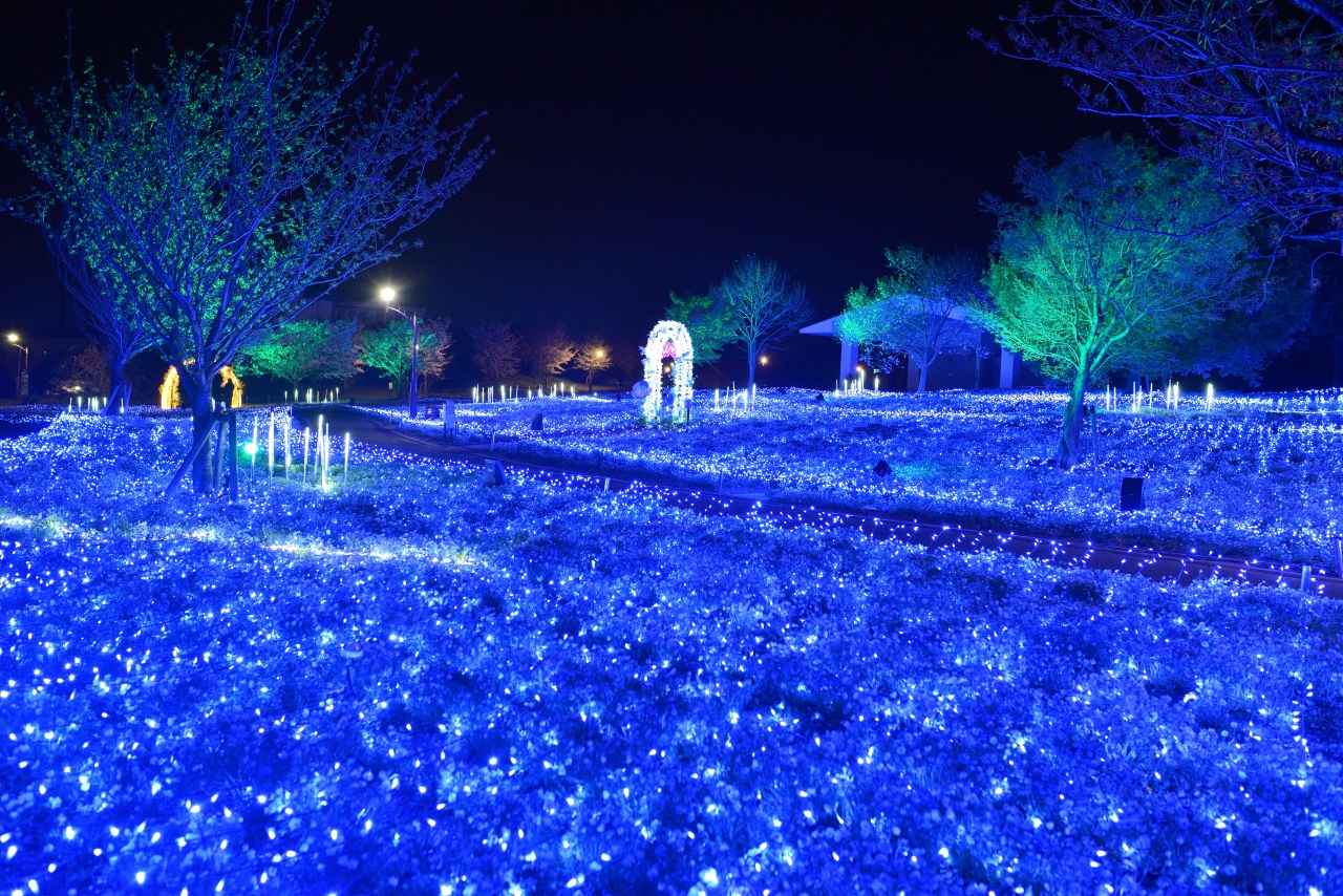 画像2: 2025年の様子