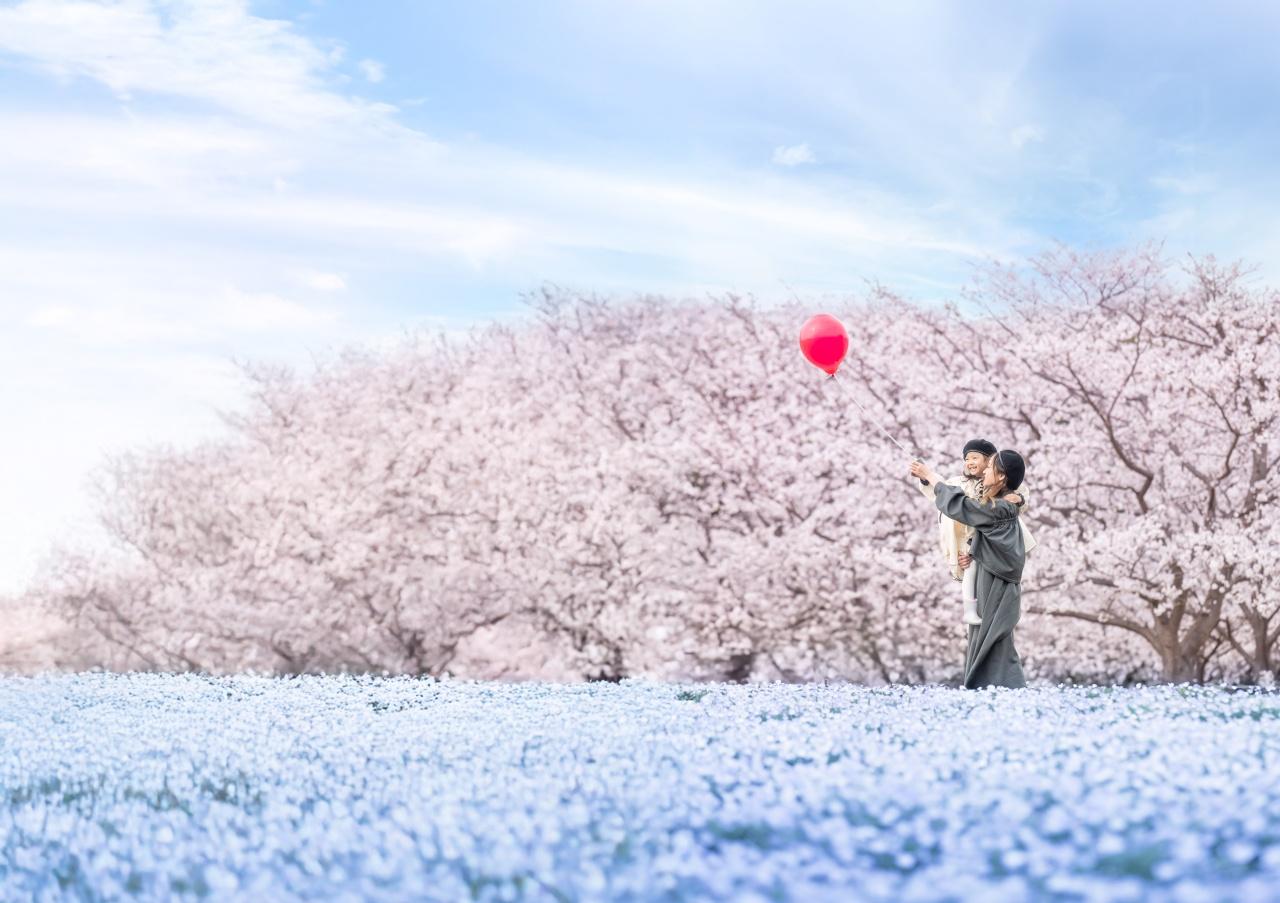 画像2: 桜との共演も楽しめる海沿いの公園