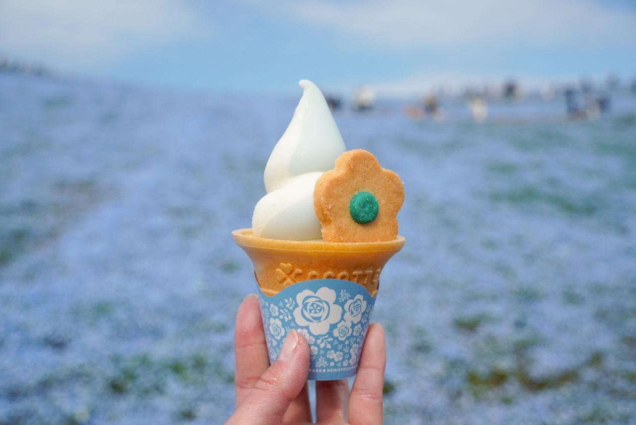 画像: ネモフィラブルーソフト