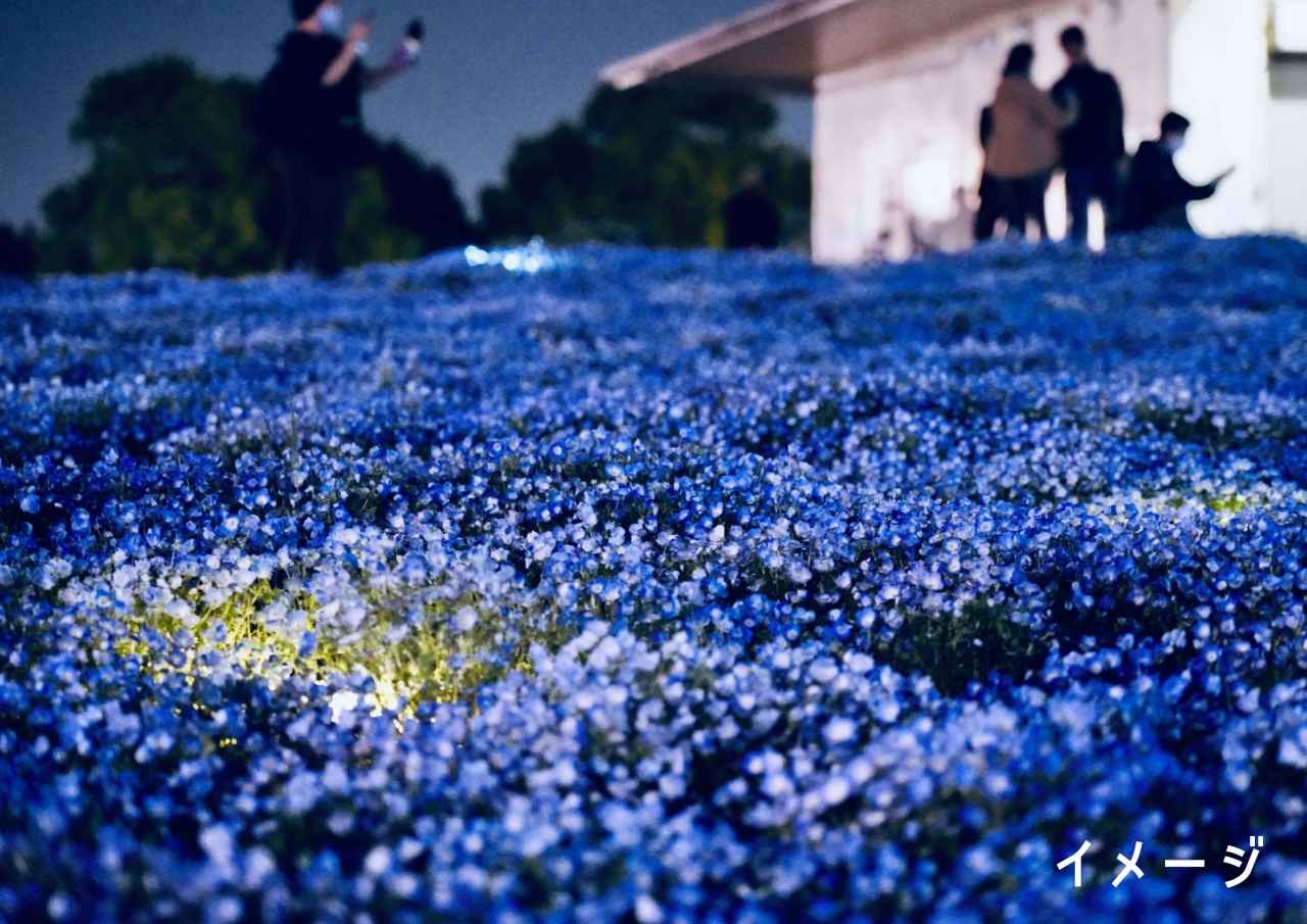 画像: ナイター営業（イメージ）