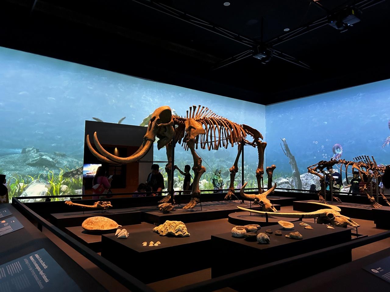 画像8: インドネシア・ジャカルタの2泊4日モデルコース。伝統とモダンが交差する街を楽しむ