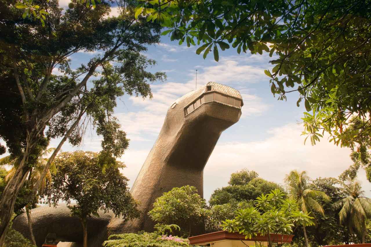 画像: 爬虫類博物館 提供:tmiiofficial