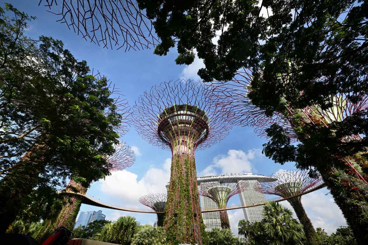 画像: シンガポールを象徴する風景「ガーデンズ・バイ・ザ・ベイ」と、その向こうにそびえる「マリーナベイ・サンズ」