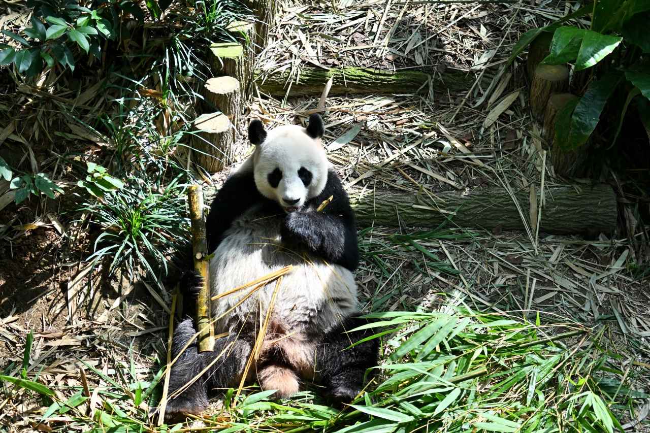 画像: 訪れるなら、朝ごはんを食べている午前中の時間帯が特におすすめ