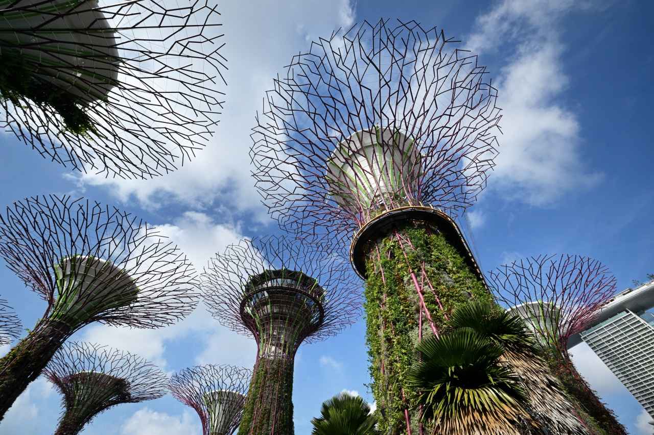 画像: 十数万株の植物で覆われた、高さ25～50メートルの垂直庭園が林立する「ガーデンズ・バイ・ザ・ベイ」の「スーパーツリー・グローブ」。その発想の壮大さに圧倒されます