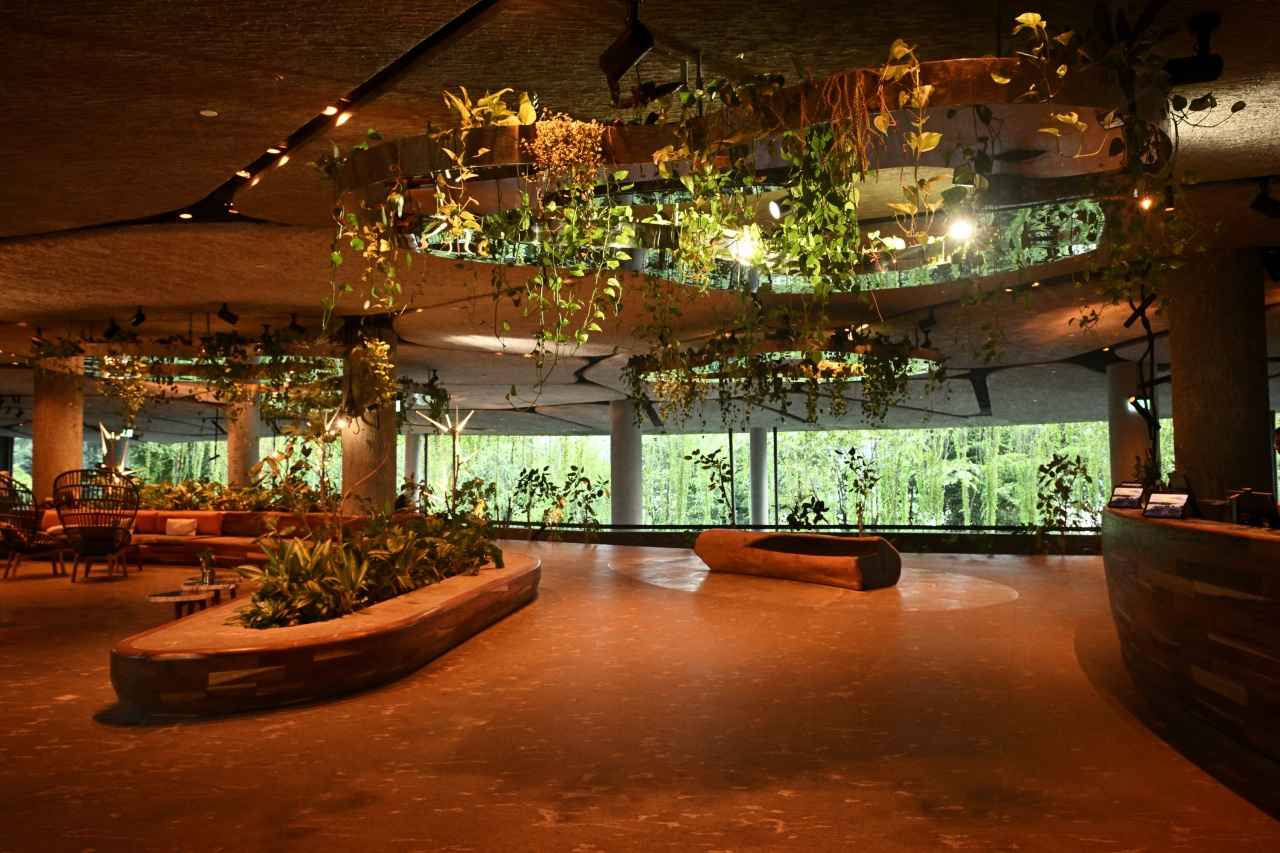 画像: 自然のなかに溶け込むバイオフィリック・デザインが素敵なロビーエリア