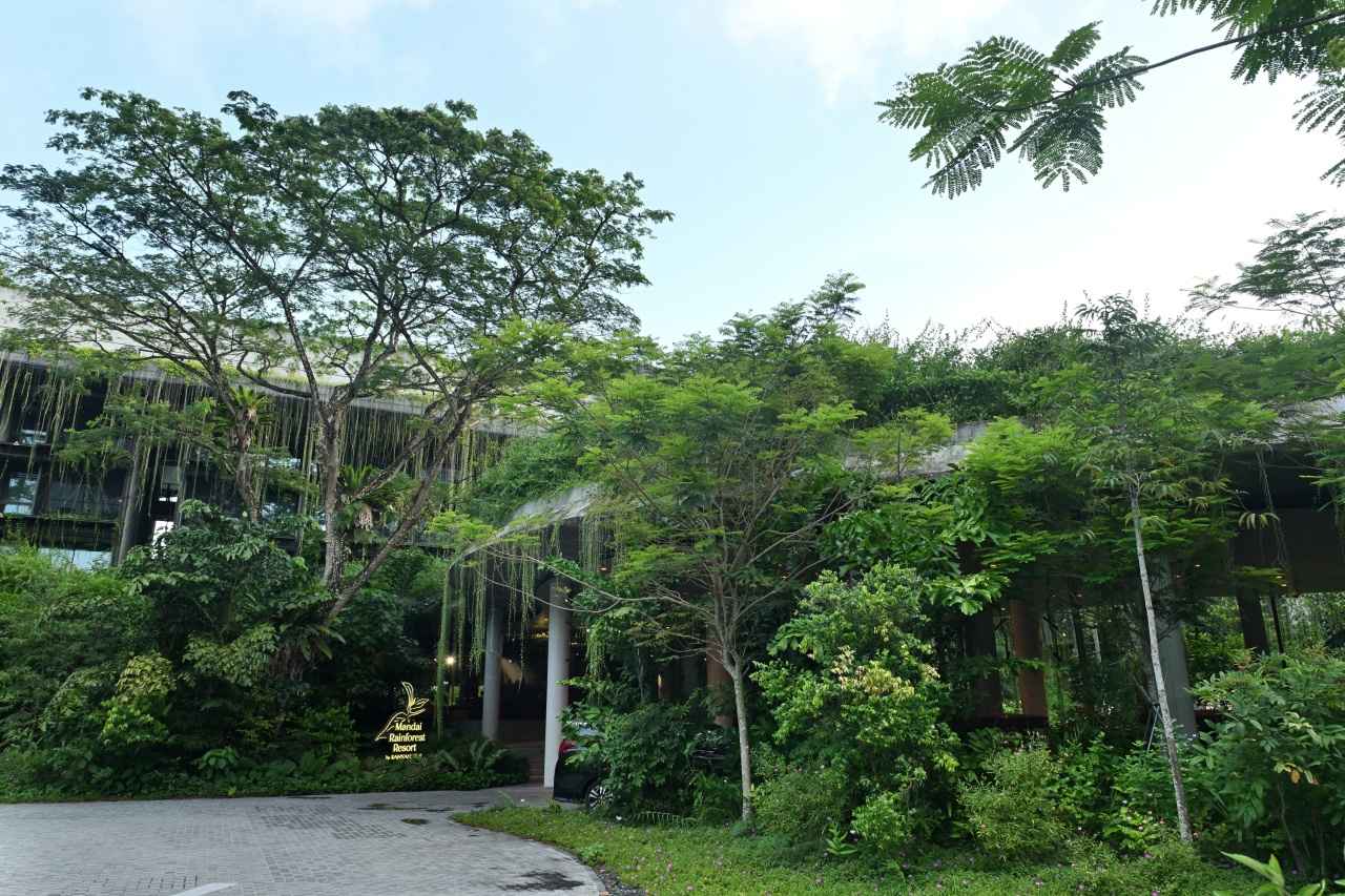 画像: 緑に覆われ、周囲の自然環境に溶け込む建築デザインも話題です