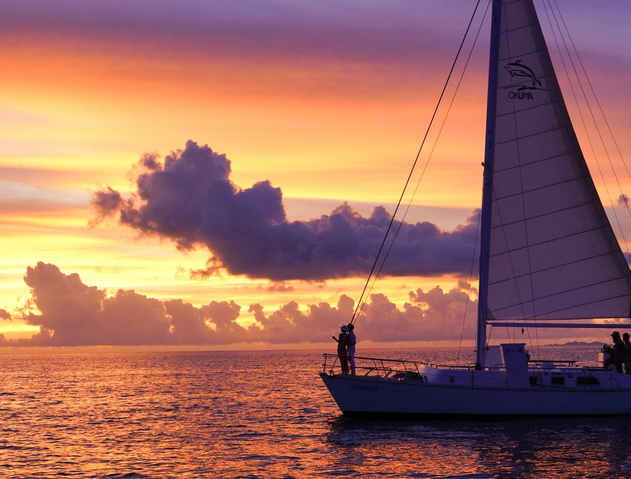 画像: ディナーの後は、夜の海へと向かう星空クルージングへ。波に揺られながら、星々が降り注ぐ特等席へとご案内します