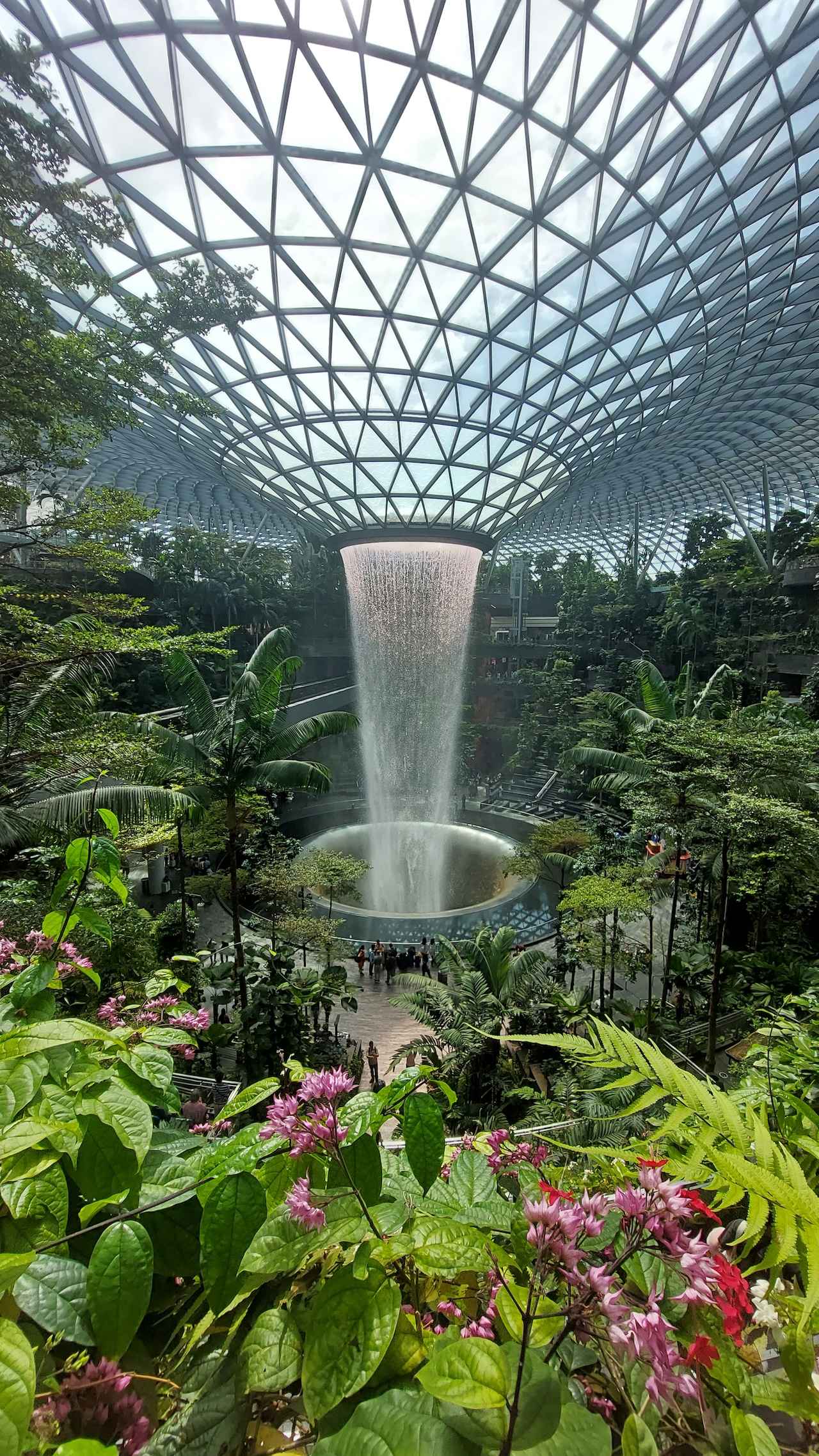 画像: シンガポール・チャンギ国際空港の複合施設「ジュエル」。こちらも必見です