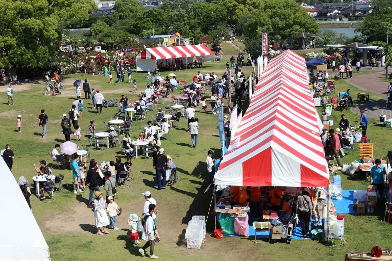 画像3: 池畔に咲く、町自慢のローズガーデン