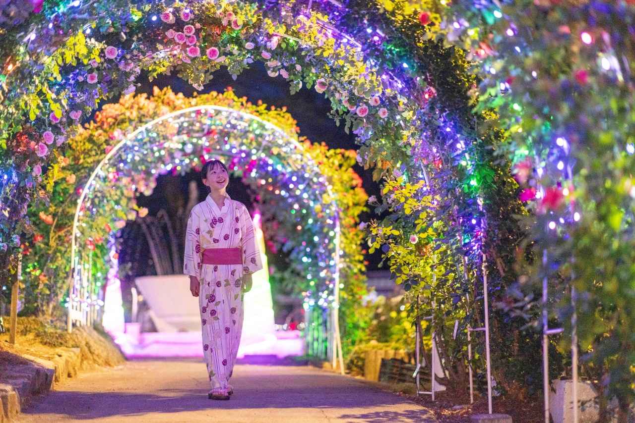画像3: 心ほどける、温泉とバラの楽園