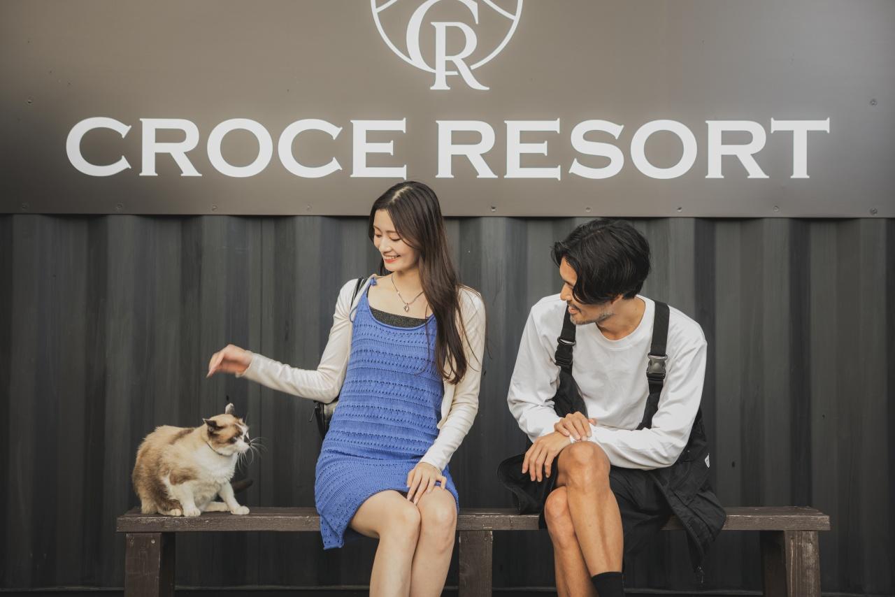 画像2: 【岐阜】清流と里山に溶け込むドームテント。猫と楽しむ新感覚グランピング｜CROCE GLAMPING