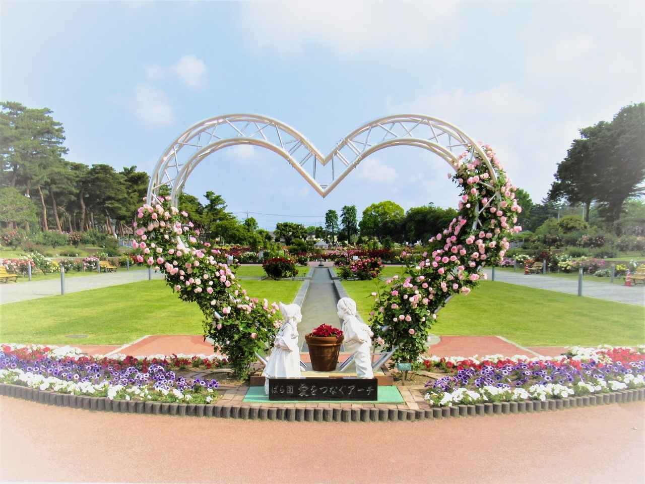 画像1: 松林とバラが織りなす優雅な風景