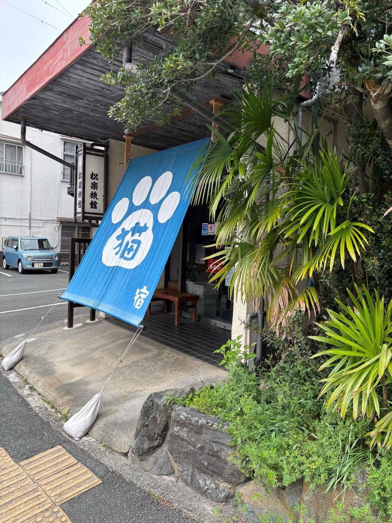 画像1: 気ままな相棒と出合いに。癒しの旅を叶える日本全国「猫のいる宿」