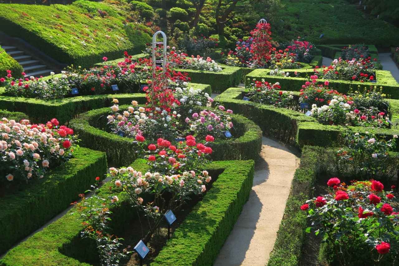 画像2: 洋館とバラが彩る美しい庭園