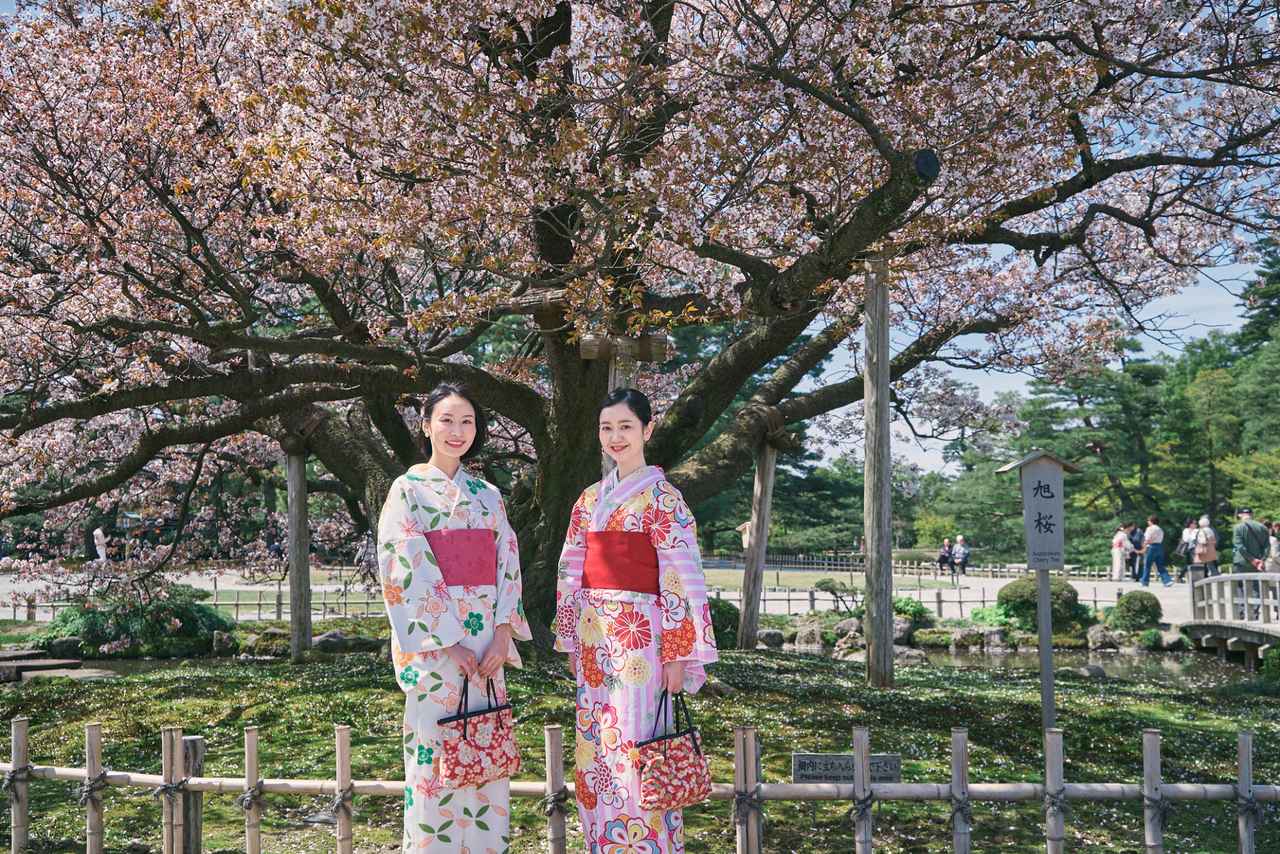 画像3: 金沢を代表する名園を散策｜兼六園