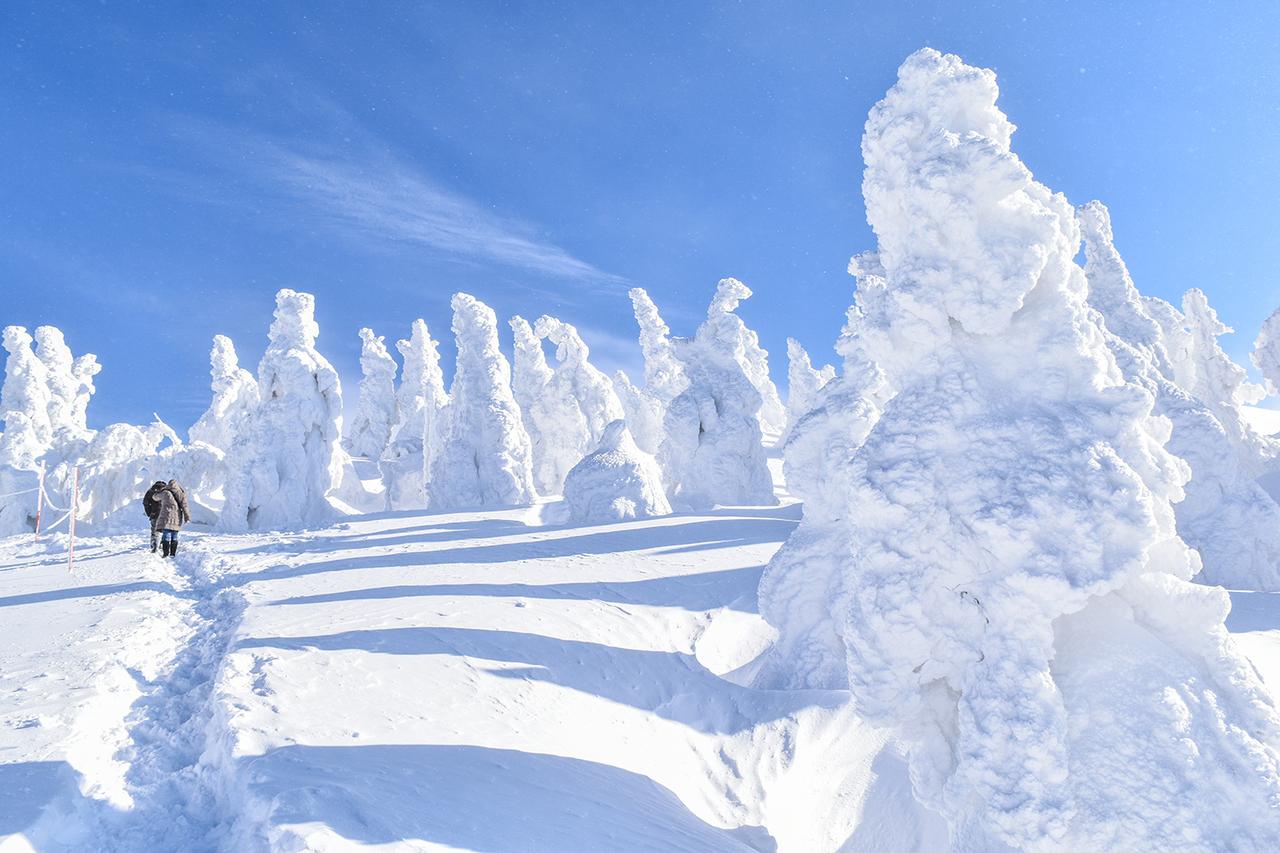 画像3: 1. 北秋田市のシンボル 花の百名山「森吉山(もりよしざん)」