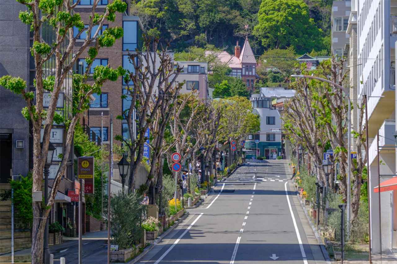 画像1: これぞ王道!北野異人館街 洋館ツアーでプリンセス気分♪