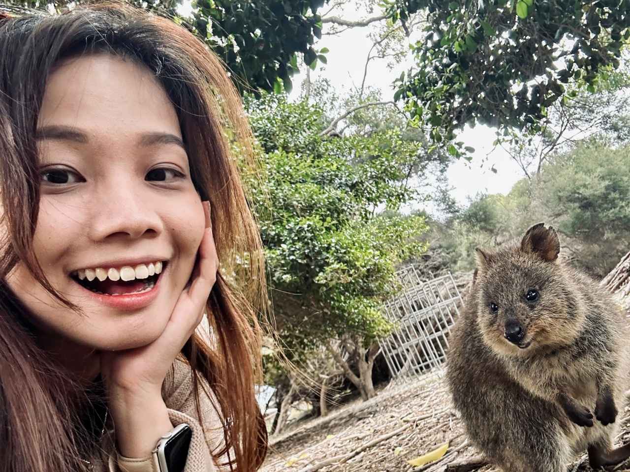 画像2: クオッカ|“世界一幸せな動物”の笑顔とともに写真を撮る