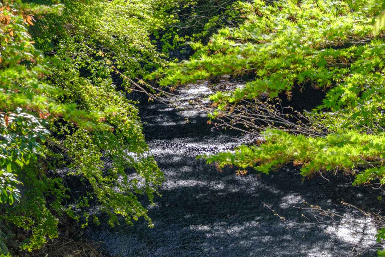 画像2: 温泉街の理想形！有馬温泉を五感で感じる湯けむり時間
