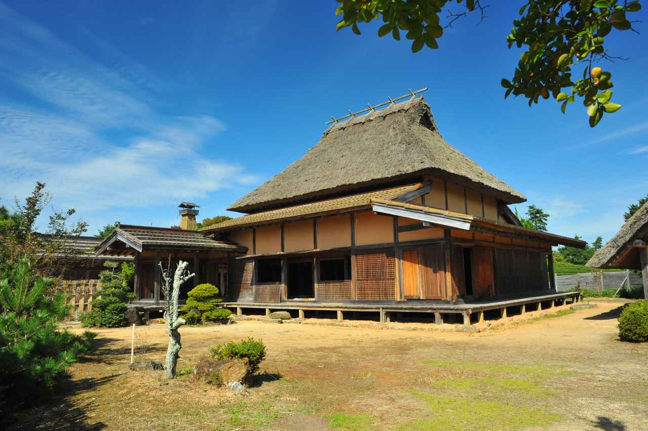 画像5: 提供 井原市