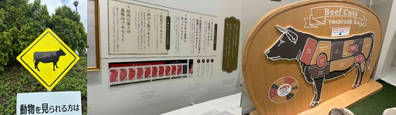 画像: 画像1：但馬牛の標識 画像2,3：博物館内の様子