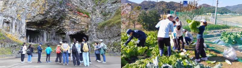 画像: サマーキャンプ、農協体験の様子