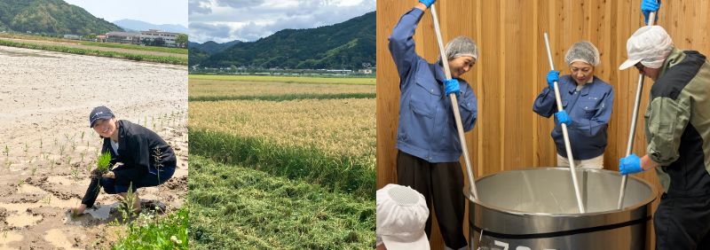 画像: 田植え、稲刈り、仕込み作業の様子