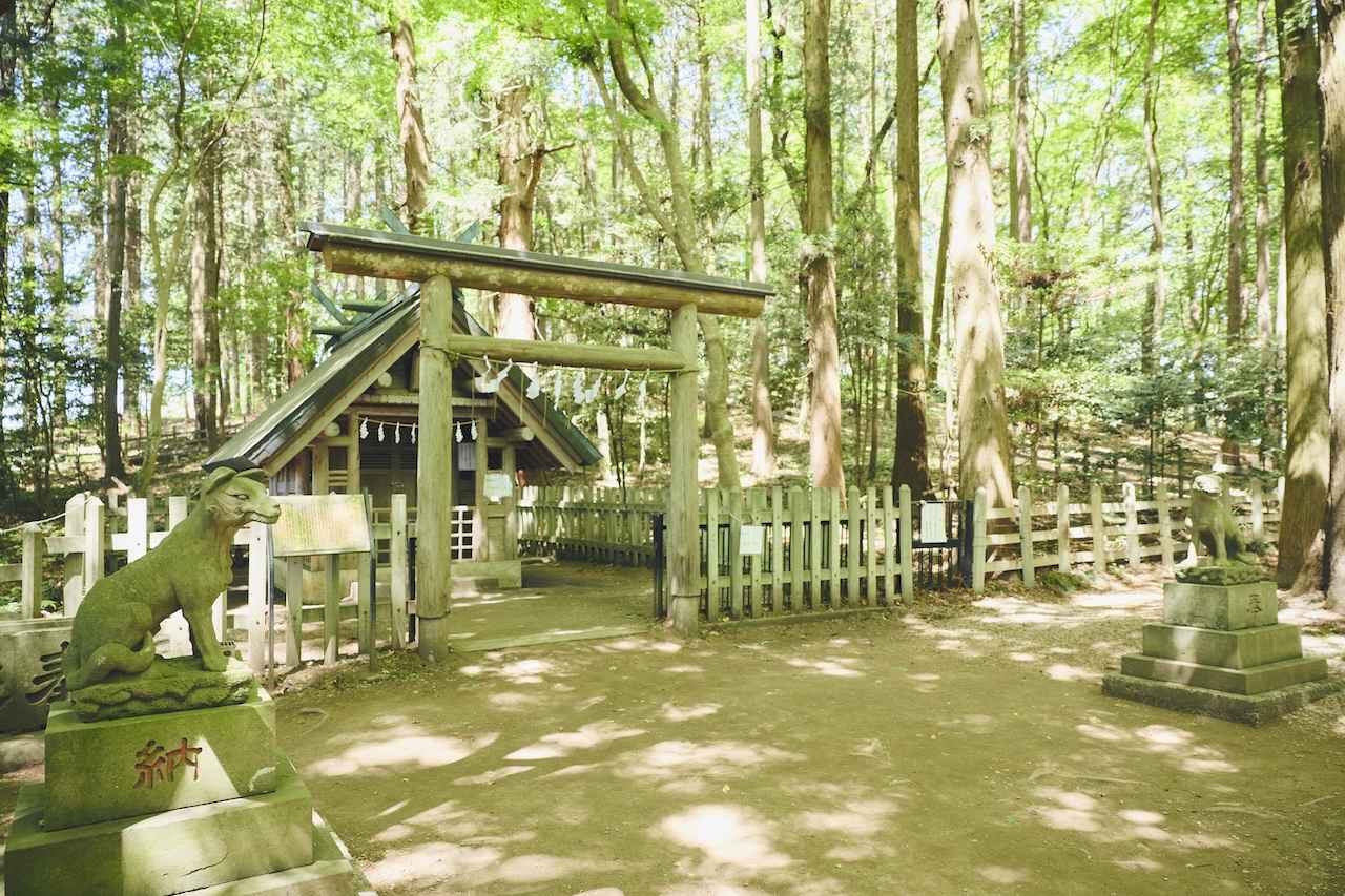 画像3: 宝登山｜無料の最新展望テラスが話題の絶景スポット