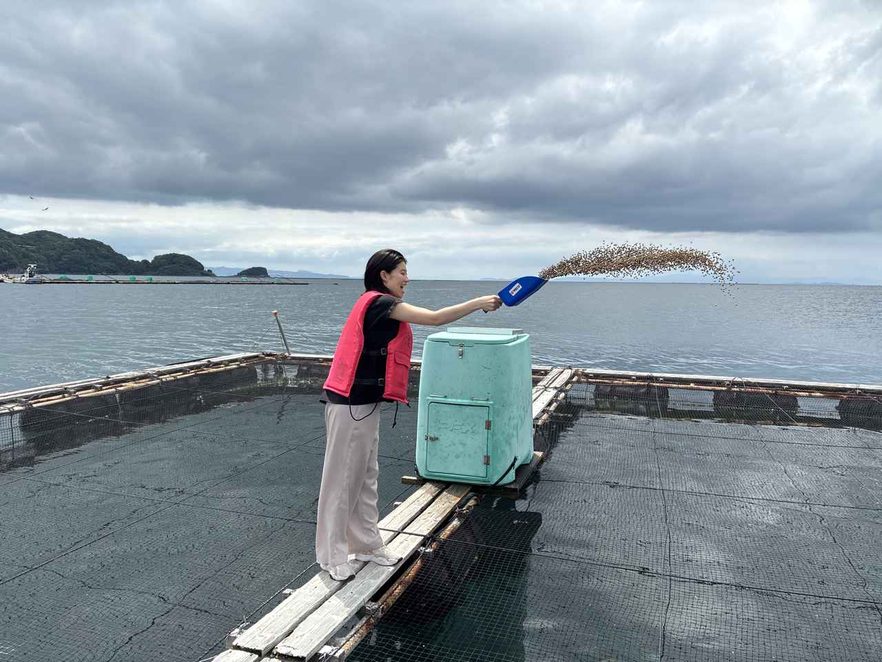 画像: 餌にお魚がパシャパシャとたくさん集まってきます!