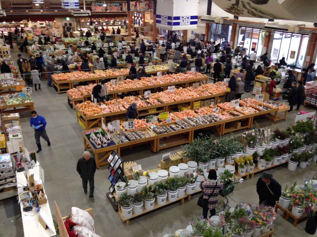 画像1: まるで食のワンダーランド!今治の恵みが集結する巨大直売所