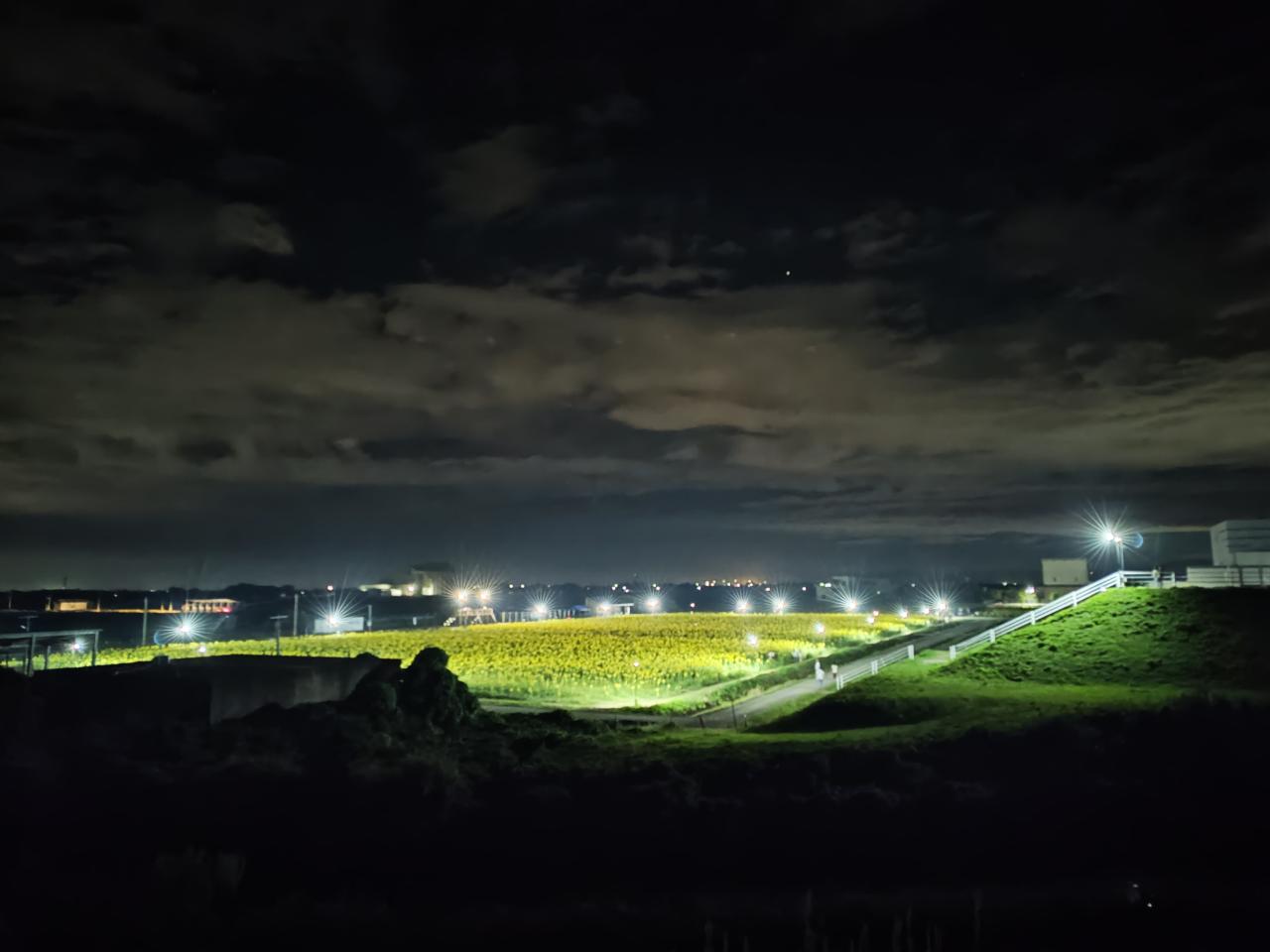画像9: 【全国】ひまわり畑の絶景スポット15選。見頃や夏休みに行きたいイベントもご紹介!