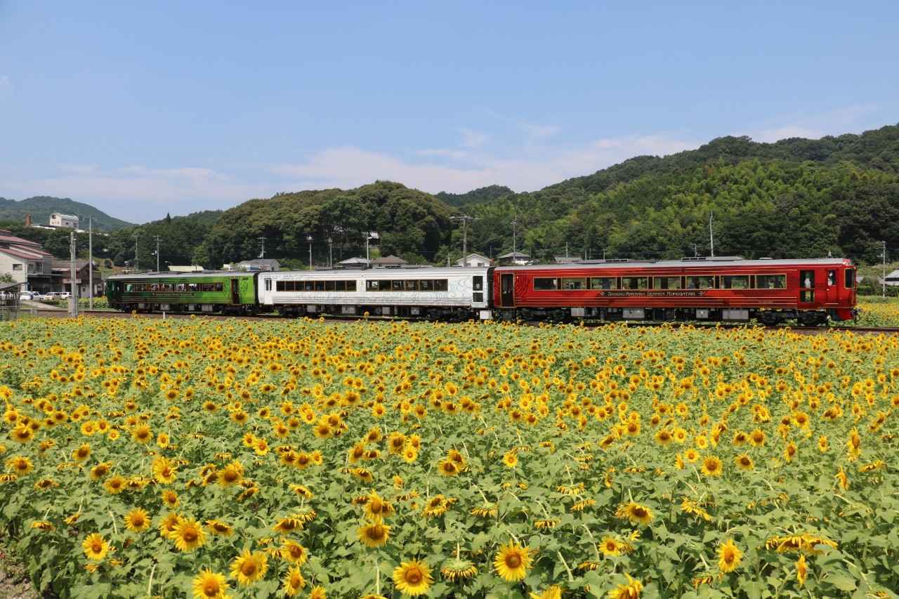 画像: 観光列車「四国まんなか千年ものがたり」 提供:四国旅客鉄道株式会社